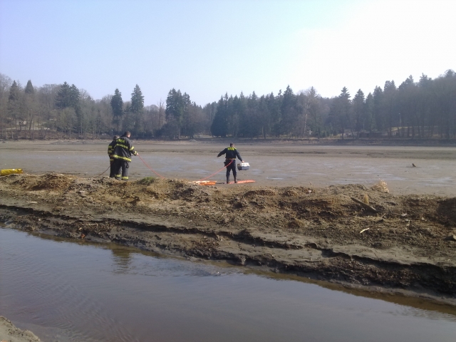   Káně Blateník z Konopišťského rybníka  