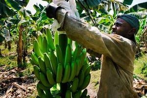 Začíná výstava Vyrobeno za každou cenu