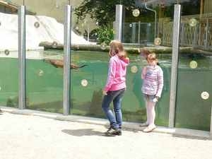 Vlašimská paraZOO bude z důvodu rekonstrukce celý měsíc říjen uzavřena