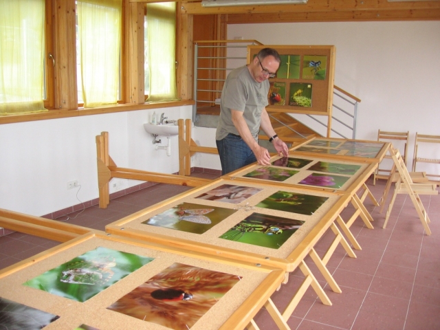 Připravujeme pro vás výstavu Ze života hmyzu